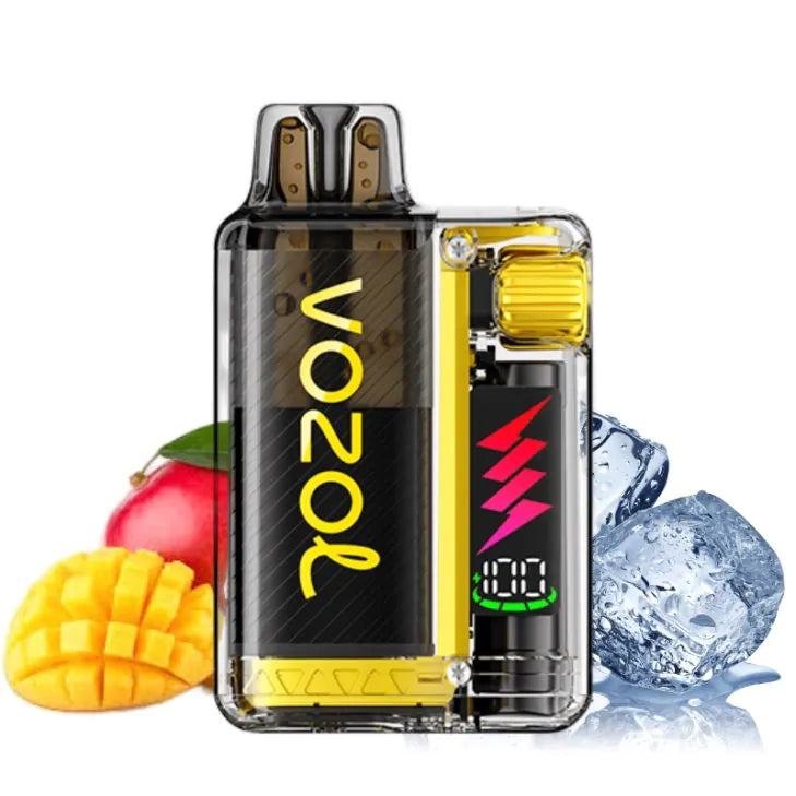 Vozol Vista Plug 10.000 Kit - Mango Ice 20mg