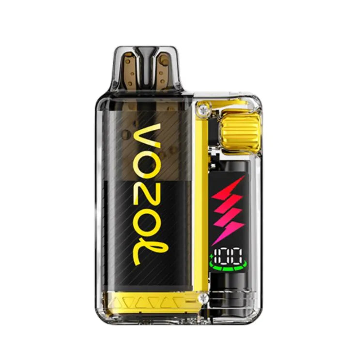 Vozol Vista Plug 10.000 Kit - Mango Ice 20mg